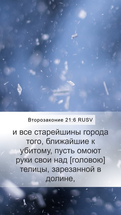 Второзаконие 21:6 RUSV Bible Verse Image
