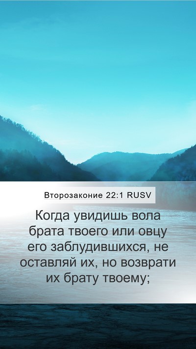 Второзаконие 22:1 RUSV Mobile Phone Wallpaper - Когда увидишь вола брата - Mobile Bible Verse Wallpaper