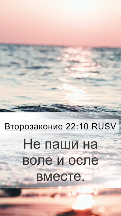 Второзаконие 22:10 RUSV Mobile Phone Wallpaper - Не паши на воле и осле - Mobile Bible Verse Wallpaper