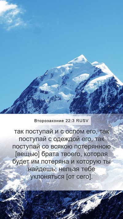 Второзаконие 22:3 RUSV Bible Verse Image