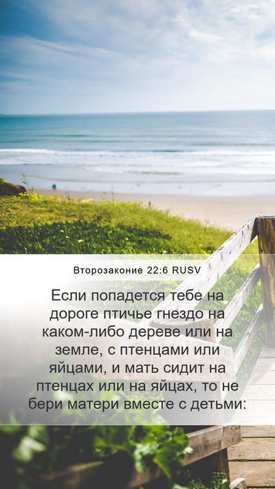 Второзаконие 22:6 RUSV Mobile Phone Wallpaper - Если попадется тебе на - Mobile Bible Verse Wallpaper