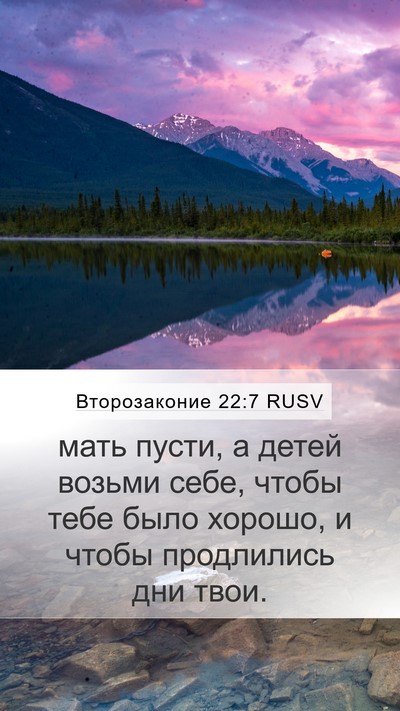 Второзаконие 22:7 RUSV Mobile Phone Wallpaper - мать пусти, а детей возьми - Mobile Bible Verse Wallpaper