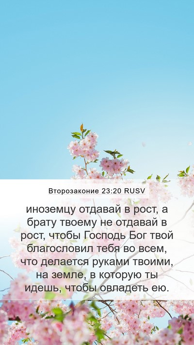 Второзаконие 23:20 RUSV Bible Verse Image