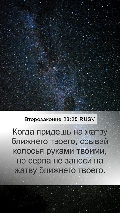 Второзаконие 23:25 RUSV Bible Verse Image
