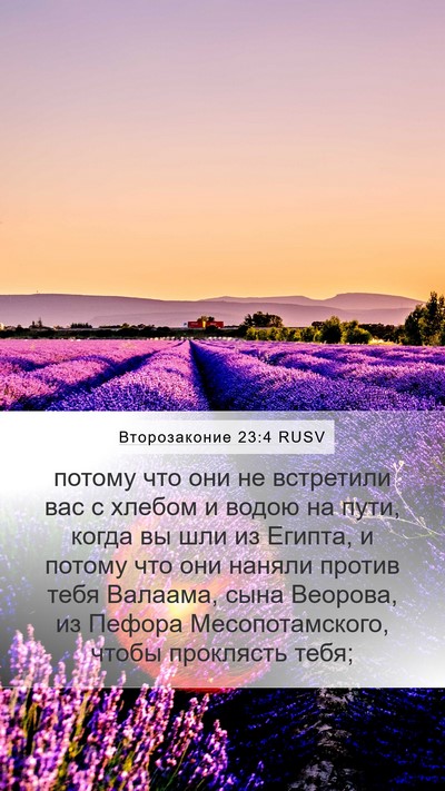 Второзаконие 23:4 RUSV Bible Verse Image