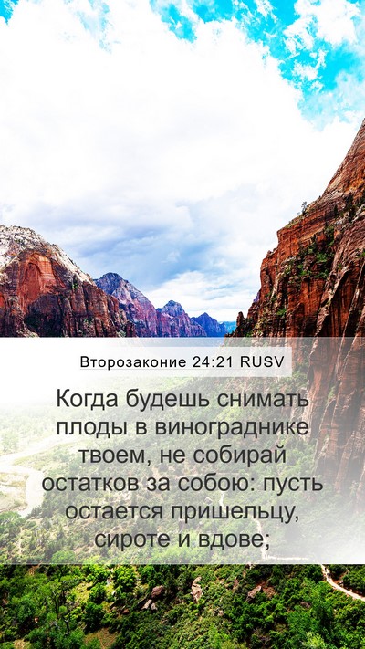 Второзаконие 24:21 RUSV Bible Verse Image