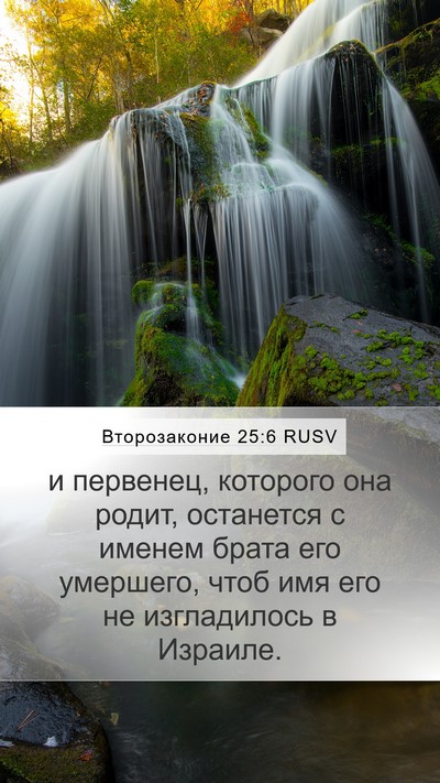 Второзаконие 25:6 RUSV Bible Verse Image