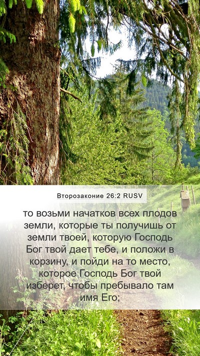 Второзаконие 26:2 RUSV Bible Verse Image
