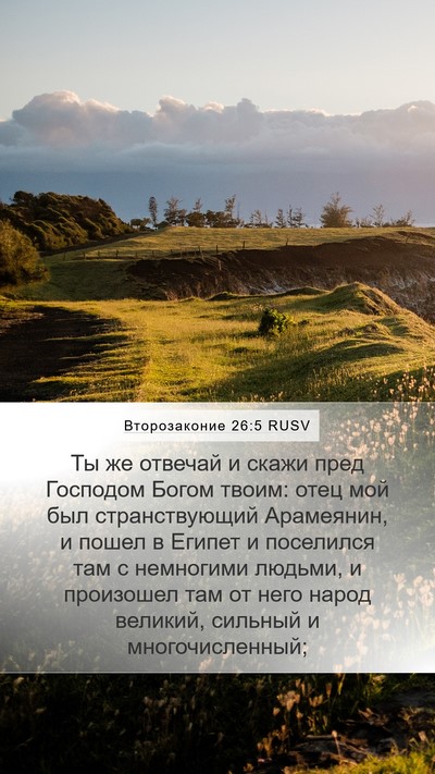 Второзаконие 26:5 RUSV Bible Verse Image