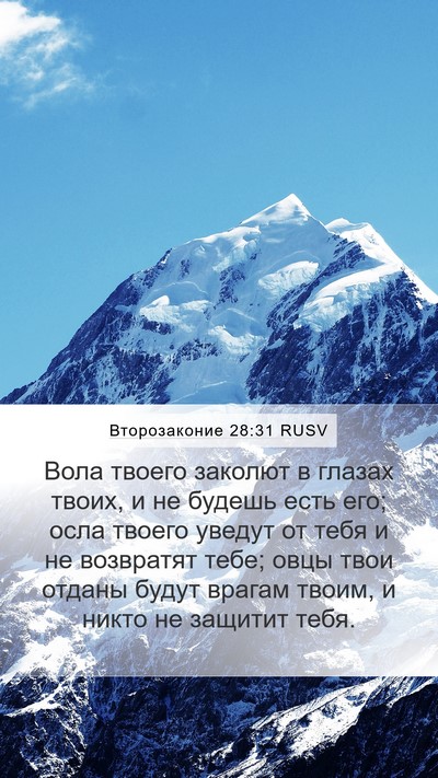 Второзаконие 28:31 RUSV Bible Verse Image