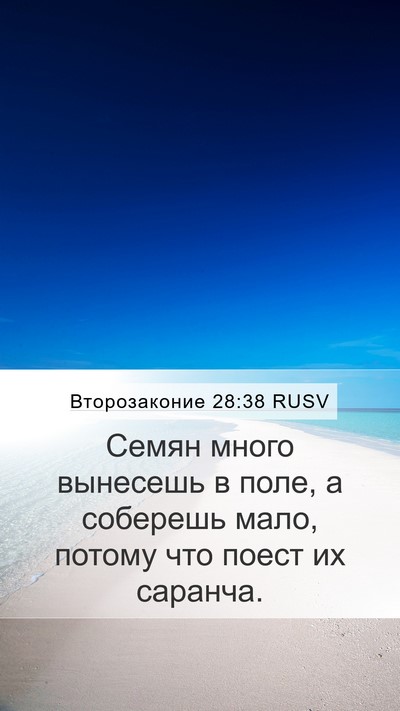 Второзаконие 28:38 RUSV Bible Verse Image