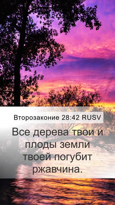 Второзаконие 28:42 RUSV Bible Verse Image