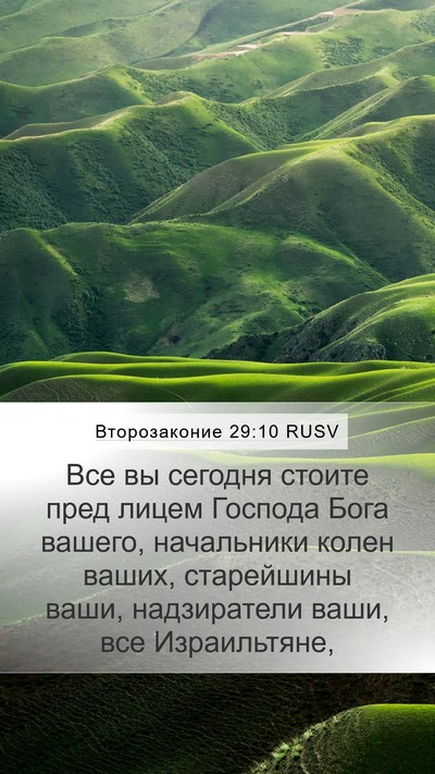 Второзаконие 29:10 RUSV Bible Verse Image