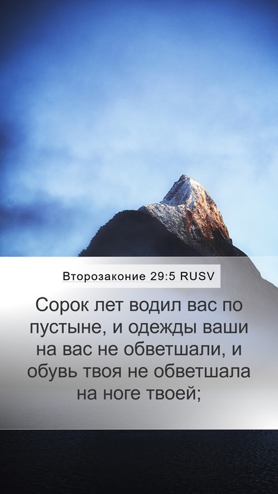 Второзаконие 29:5 RUSV Bible Verse Image
