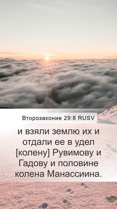 Второзаконие 29:8 RUSV Bible Verse Image