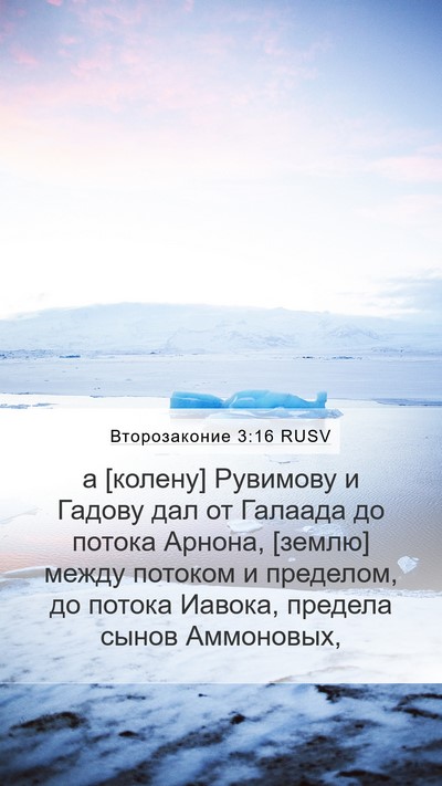 Второзаконие 3:16 RUSV Bible Verse Image