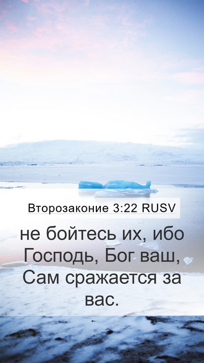 Второзаконие 3:22 RUSV Bible Verse Image