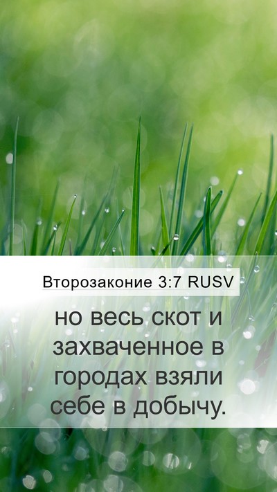 Второзаконие 3:7 RUSV Mobile Phone Wallpaper - но весь скот и захваченное - Mobile Bible Verse Wallpaper