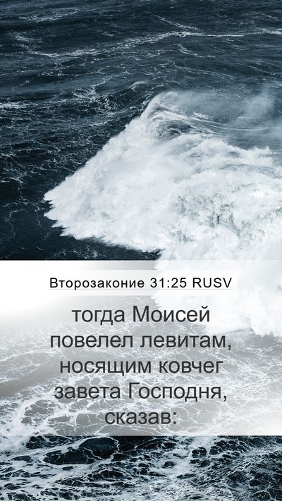 Второзаконие 31:25 RUSV Bible Verse Image
