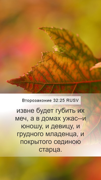 Второзаконие 32:25 RUSV Bible Verse Image