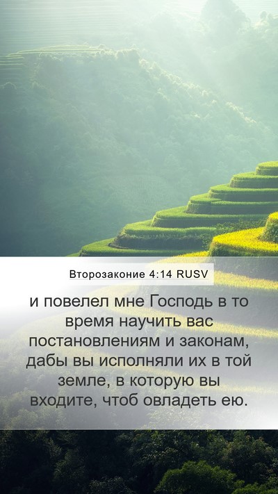 Второзаконие 4:14 RUSV Bible Verse Image