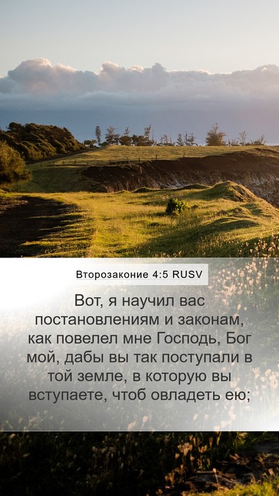 Второзаконие 4:5 RUSV Bible Verse Image