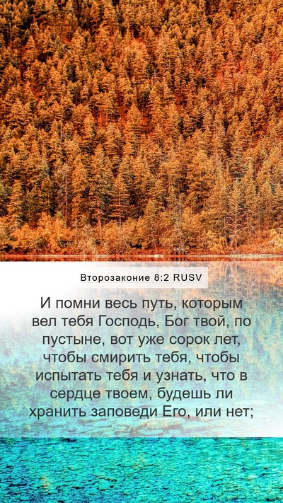 Второзаконие 8:2 RUSV Bible Verse Image