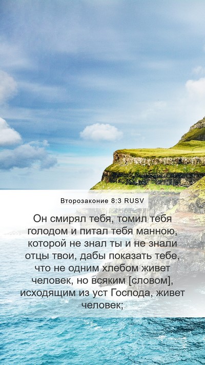 Второзаконие 8:3 RUSV Bible Verse Image