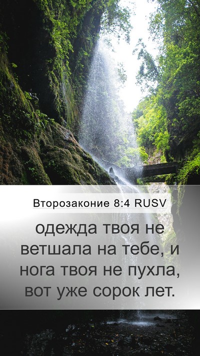 Второзаконие 8:4 RUSV Bible Verse Image