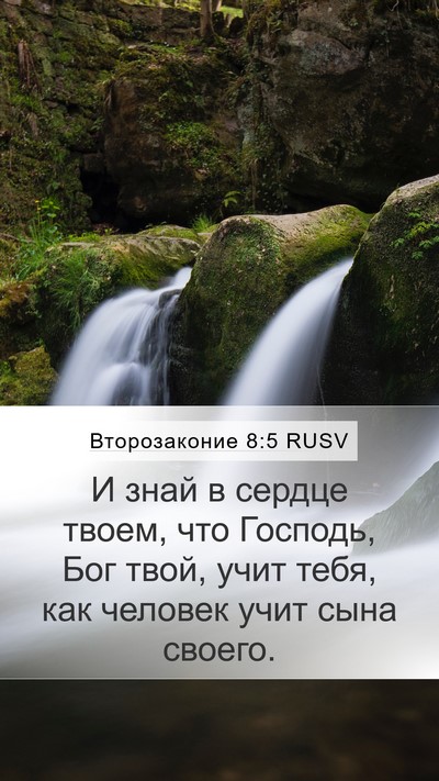 Второзаконие 8:5 RUSV Mobile Phone Wallpaper - И знай в сердце твоем, что - Mobile Bible Verse Wallpaper