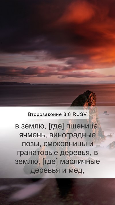 Второзаконие 8:8 RUSV Mobile Phone Wallpaper - в землю, [где] пшеница, - Mobile Bible Verse Wallpaper