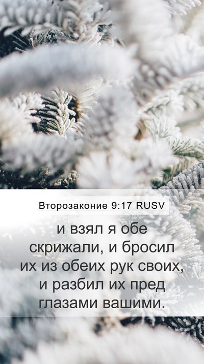 Второзаконие 9:17 RUSV Mobile Phone Wallpaper - и взял я обе скрижали, и - Mobile Bible Verse Wallpaper