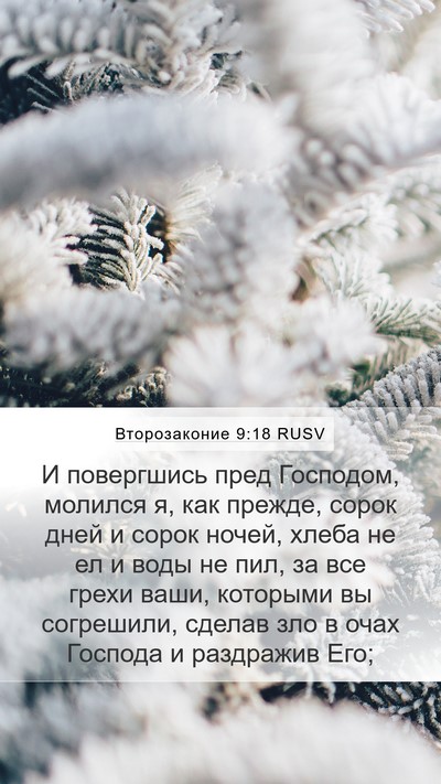 Второзаконие 9:18 RUSV Bible Verse Image