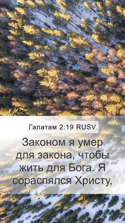 Галатам 2:19 RUSV Bible Verse Image