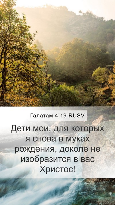 Галатам 4:19 RUSV Bible Verse Image
