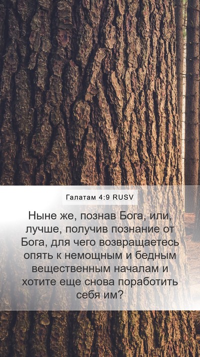 Галатам 4:9 RUSV Bible Verse Image