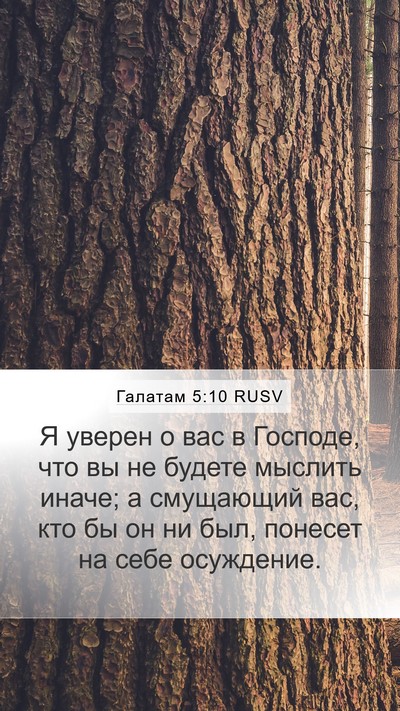 Галатам 5:10 RUSV Bible Verse Image
