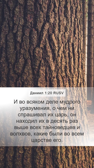 Даниил 1:20 RUSV Mobile Phone Wallpaper - И во всяком деле мудрого - Mobile Bible Verse Wallpaper