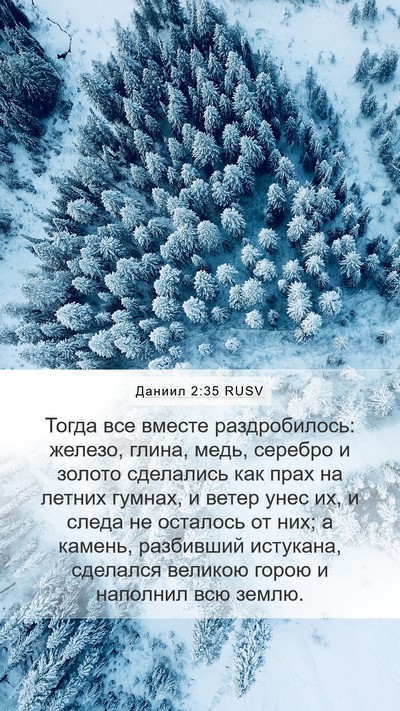 Даниил 2:35 RUSV Bible Verse Image