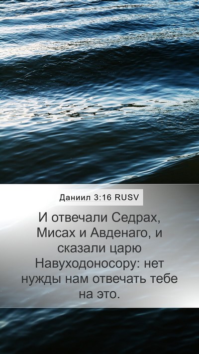 Даниил 3:16 RUSV Bible Verse Image