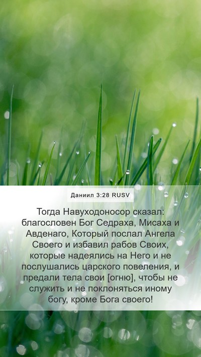 Даниил 3:28 RUSV Bible Verse Image