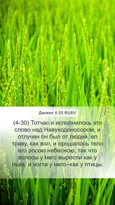 Даниил 4:33 RUSV Bible Verse Image