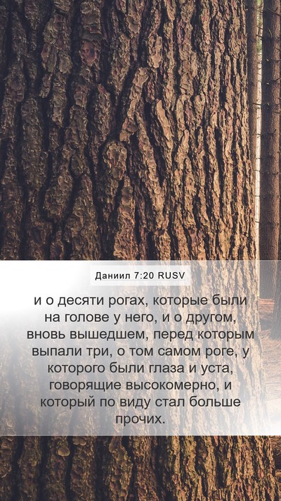 Даниил 7:20 RUSV Bible Verse Image