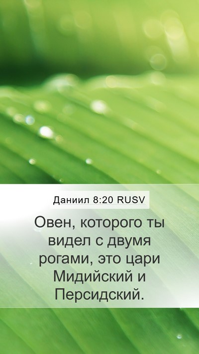 Даниил 8:20 RUSV Bible Verse Image