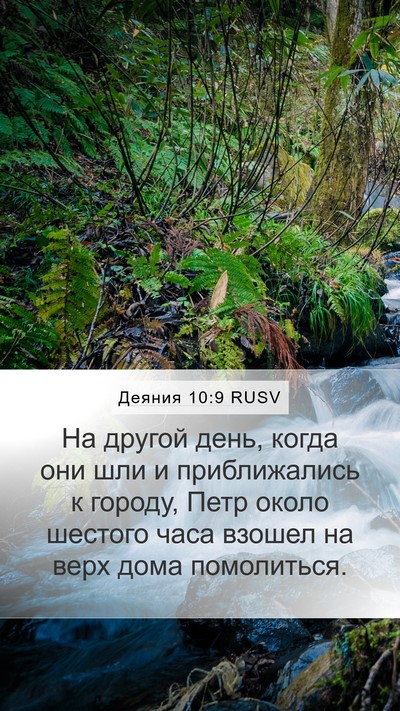 Деяния 10:9 RUSV Bible Verse Image