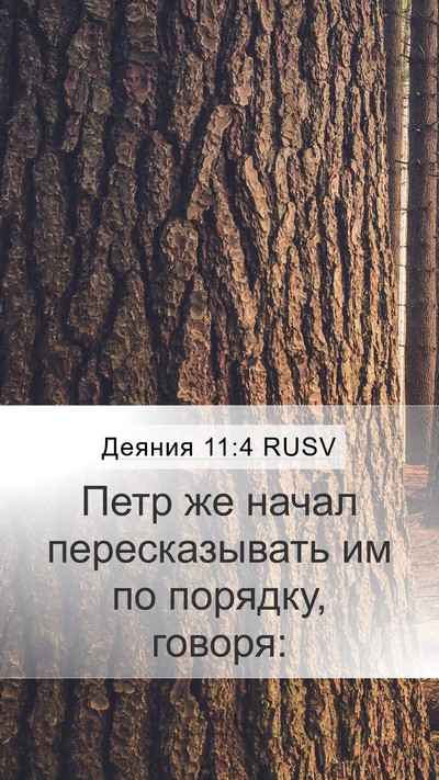 Деяния 11:4 RUSV Bible Verse Image