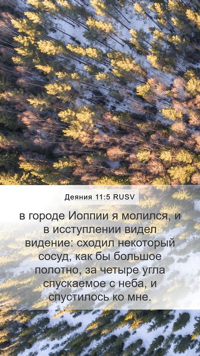 Деяния 11:5 RUSV Bible Verse Image