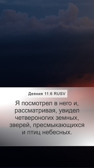 Деяния 11:6 RUSV Bible Verse Image