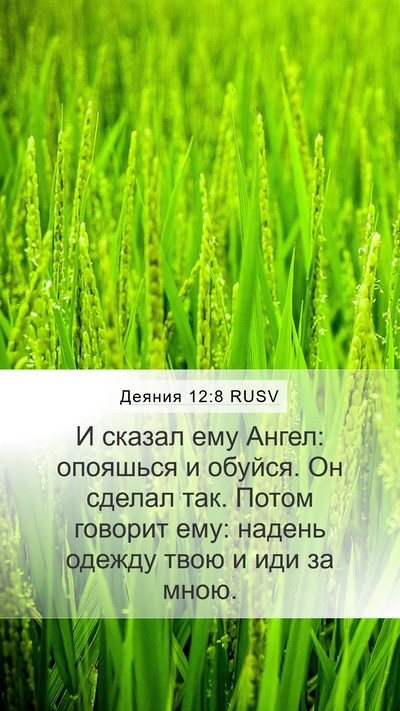 Деяния 12:8 RUSV Bible Verse Image