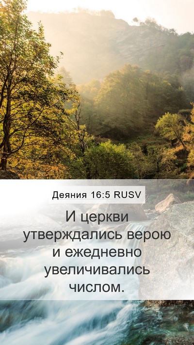 Деяния 16:5 RUSV Bible Verse Image